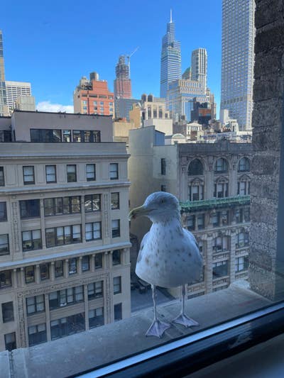 ✨Budget-friendly Room Available in Midtown South✨ Main Photo