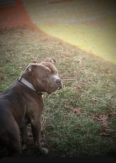 Room wanted in Columbus, OH Main Photo