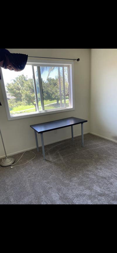 Awesome place with cool Roomate’s  Main Photo