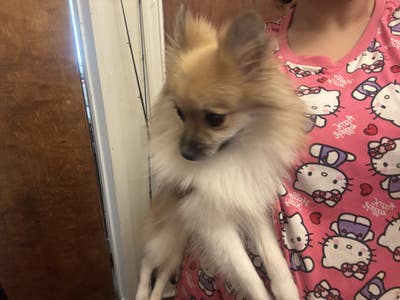 Room wanted in Montclair, nj Main Photo