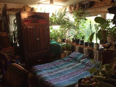 Room in house near NC State Main Photo