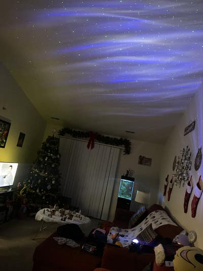 Room wanted in Detroit, MI Main Photo