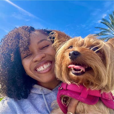 Single Female + 7 lb Yorkie Main Photo