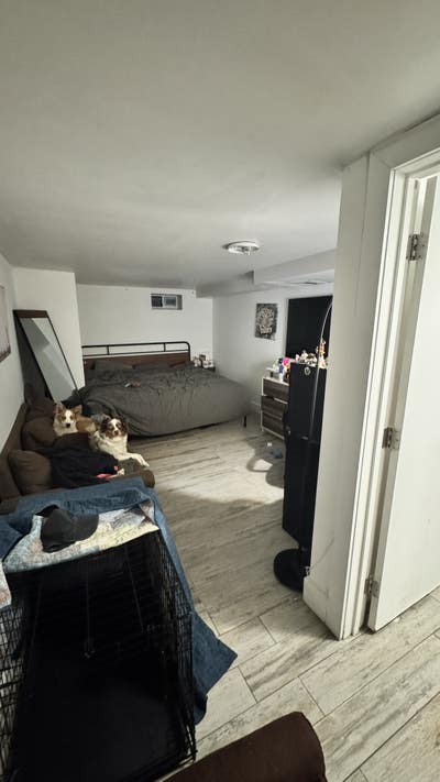 Big Bushwick Room w/ Bathroom, Home Gym, Backyard Main Photo