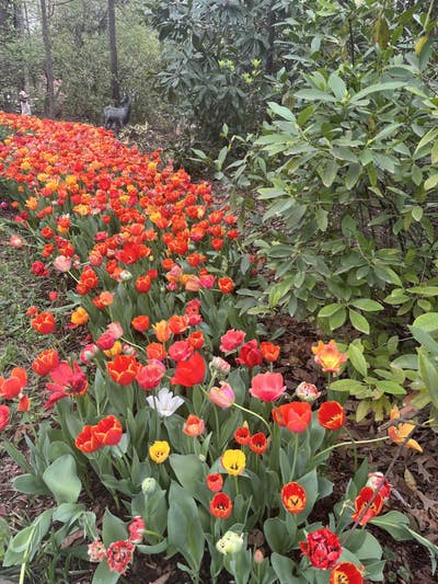 Room wanted in NYC Main Photo