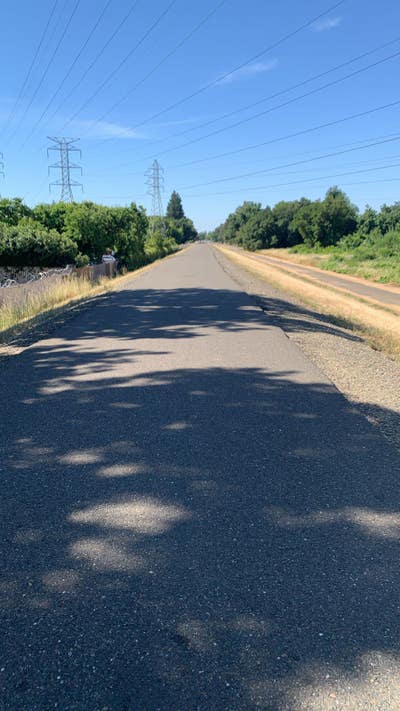 30 year old woman looking for room in Woodland Main Photo