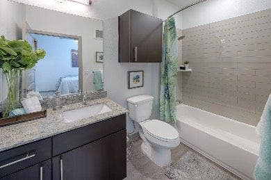 Sublease Available- Lark San Antonio â€” Female Only Main Photo