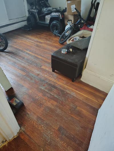 Female roommate wanted Main Photo