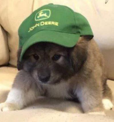 Looking for a place, move in soon Main Photo