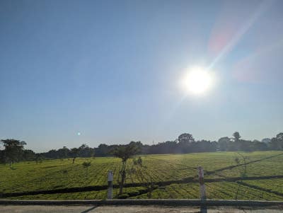 Room wanted in Stuyvesant Town, Manhattan, NY Main Photo