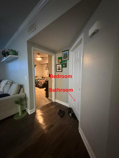 Urgent, late July move in start rent on August 1st Main Photo