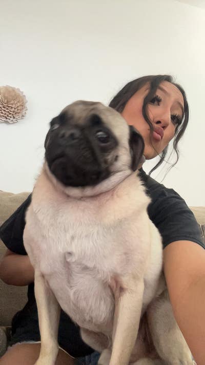 Room wanted in Mesa, AZ Main Photo