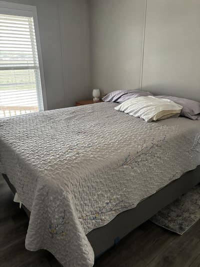 Single Room for professional female  Main Photo
