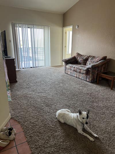 Roommate needed Main Photo