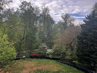 Newly reno short term rental - Bethesda/DC Main Photo