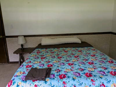 Looking for roommate  Main Photo
