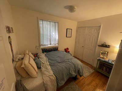 Roommate wanted in our 3bed/2bath Bushwick Apt Main Photo