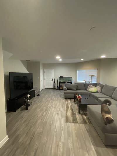 Room Available in Quiet 3 Bed / 2.5 Bath Apartment Main Photo