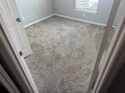 Looking for a roommate in my home!! Main Photo