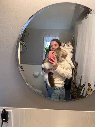 Student looking for a room in Seattle Area  Main Photo