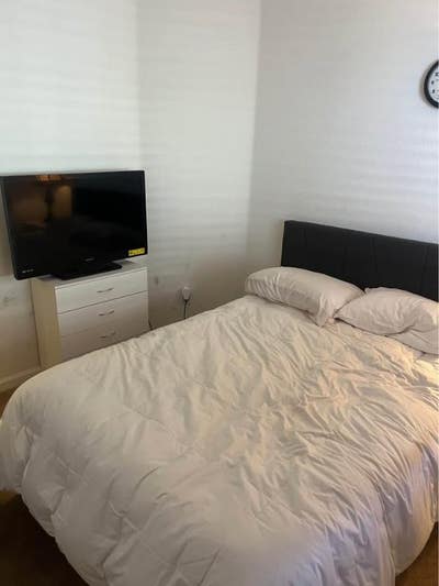 Room for rent_  1BRBA Room for Rent in 3 BR home  Main Photo