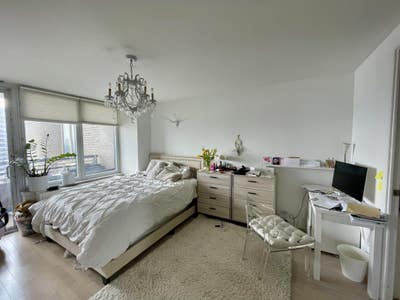 Near GCS, furbished full service luxury condo Main Photo