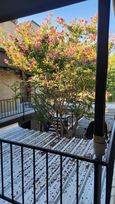 2bd/1bath in Oak Lawn Main Photo