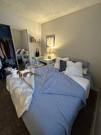 Private room and bath for rent  Main Photo