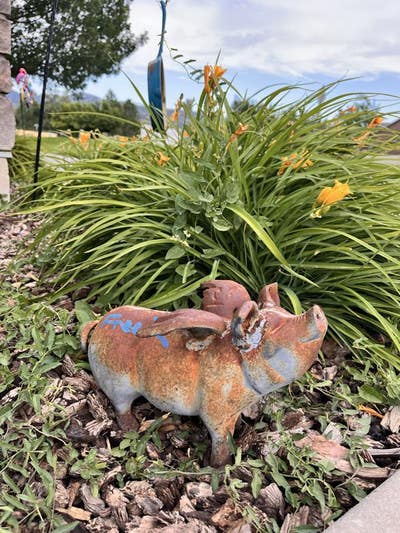 Room for rent Townhome Main Photo