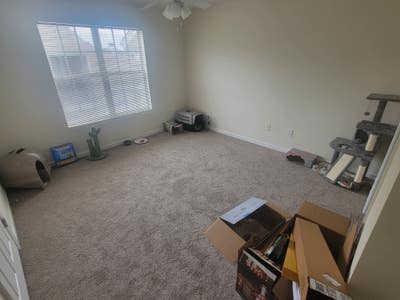 Roommate needed! Main Photo