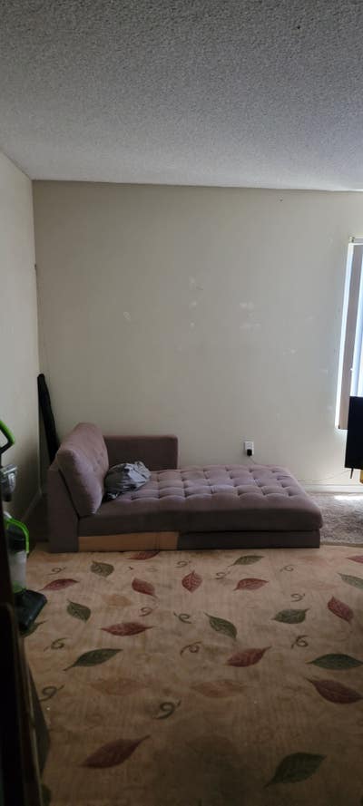 1 bedroom for rent $950 Main Photo