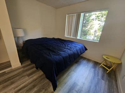 Penthouse room in Hollywood  Main Photo