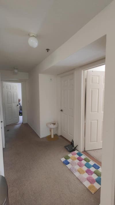 Looking for a roommate replacement! Main Photo
