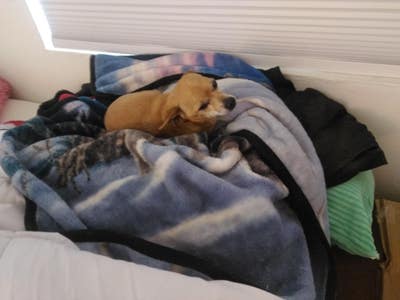 55 year old Female seeks a small or large room Main Photo