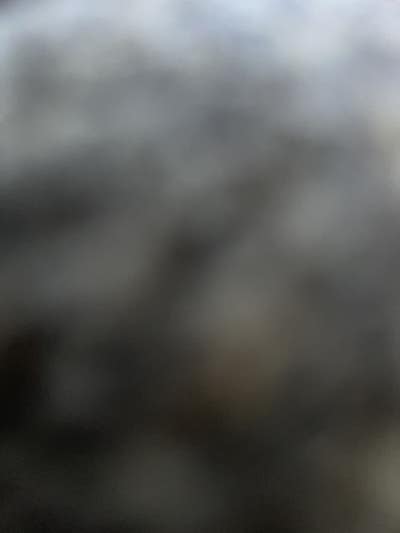 Room wanted in San Francisco Bay Area Main Photo