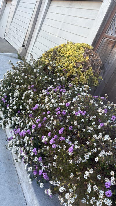Room wanted in Alameda County, CA Main Photo