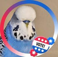 Room wanted in Harlem, Manhattan, NY Main Photo