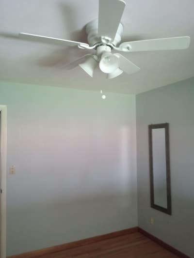 Chill house looking for solid roommate Main Photo