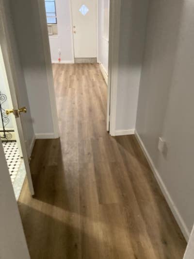 1 Bedroom apartment with Backyard Main Photo