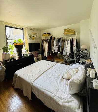 Room Available  Aug 1 in the Heart of Williamsburg Main Photo