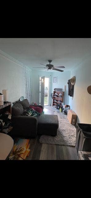 Newly Renovated Studio Main Photo