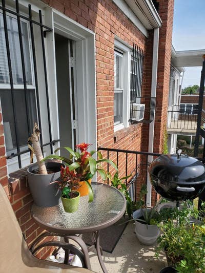 1BR Apartment in Columbia HeightsPetworth Boutique Main Photo