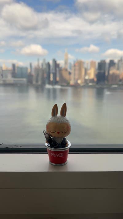 Room wanted in Queens Village, Queens, NY Main Photo