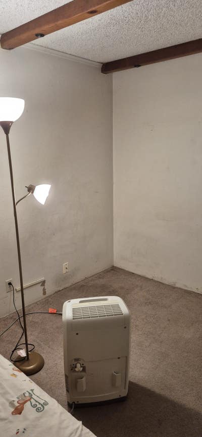 Roommate needed in Martinez  Main Photo