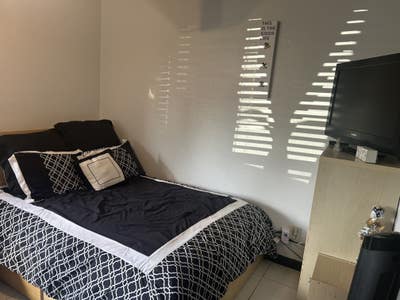 Nonsmoking Clean and Calm Room Female Only  Main Photo