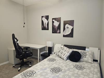 Room available for working professional or UCF  Main Photo