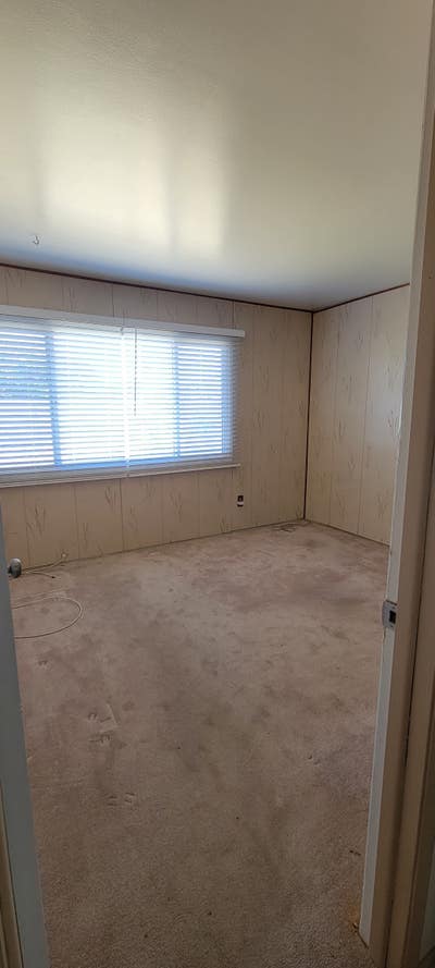 Looking for a roommate!  Main Photo