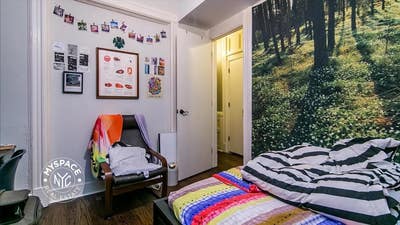 #587 Spacious & Stunning 4 bed 2 bath - Prime Bush Main Photo