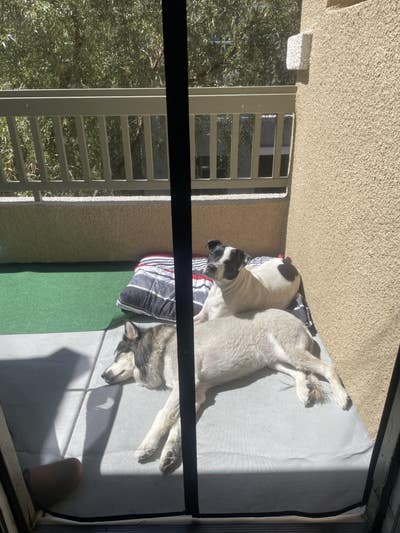 Roomate wanted but not needed  Main Photo