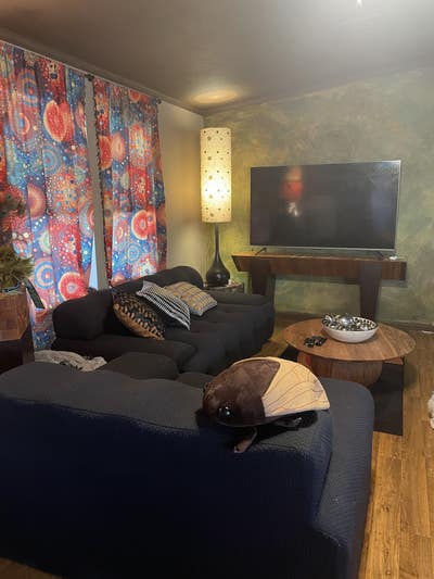 Looking for a roomie to share my cozy home  Main Photo